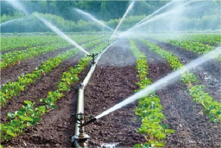 riego tecnificado, Maquinpe Group